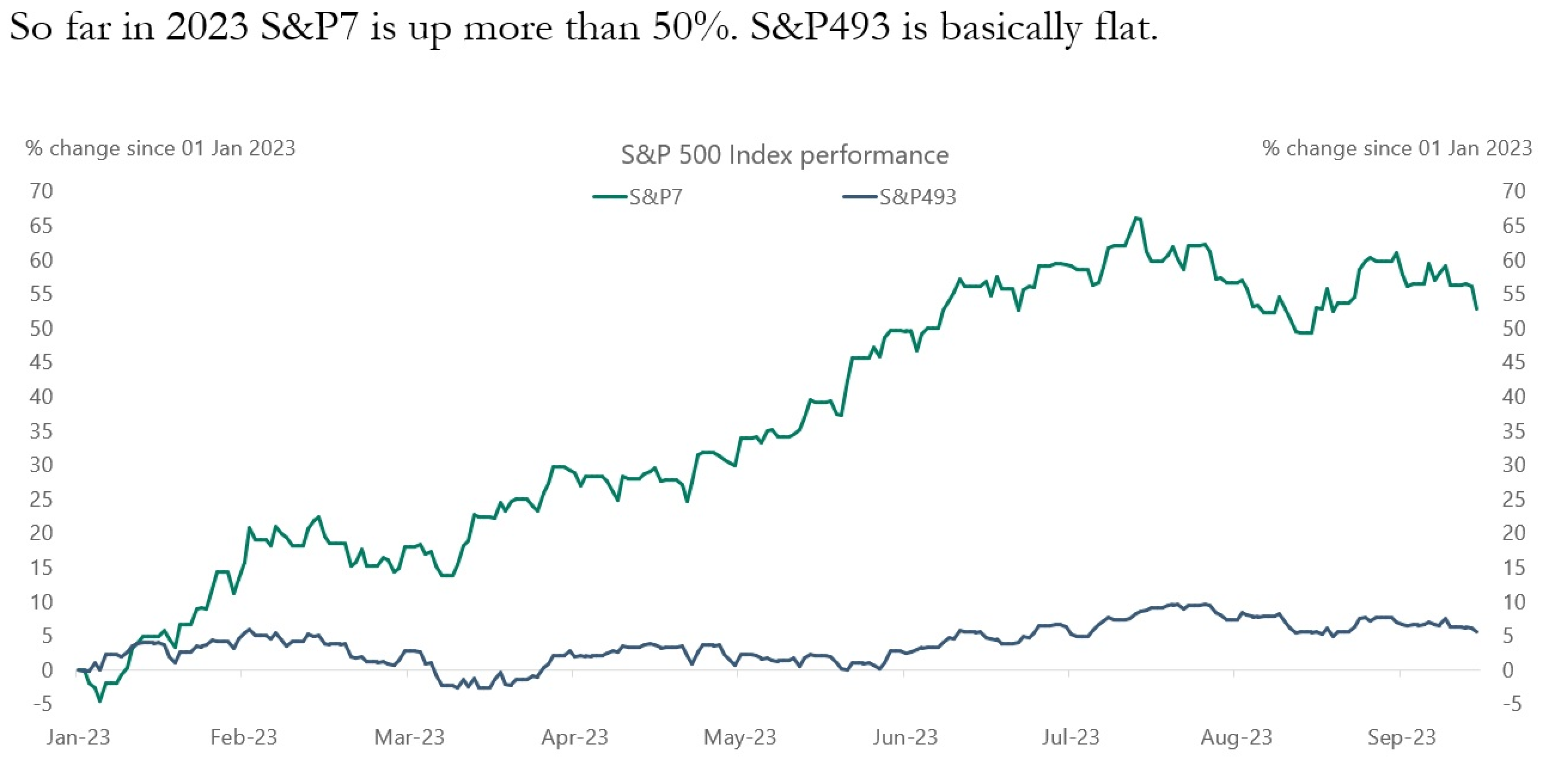 S&P493